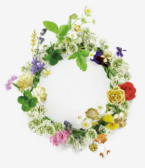 NAZUNAのホームページをリニューアルしました